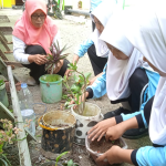 Tingkatkan kesadaran siswa tentang penghijauan, Ekskul LH Gasmeka gelar kegiatan penyemaian tanaman hidroponik
